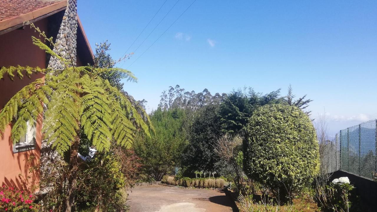 Chalet Pico Das Pedras Santana  Exteriör bild