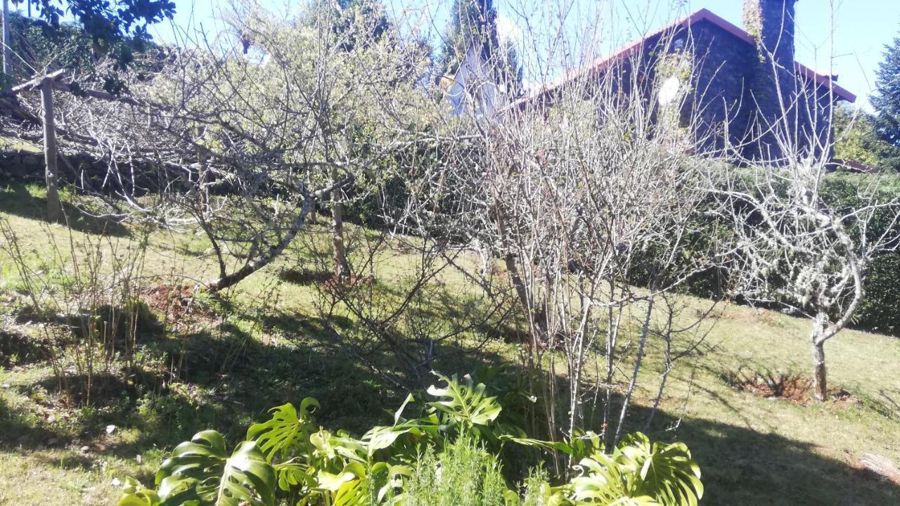 Chalet Pico Das Pedras Santana  Exteriör bild
