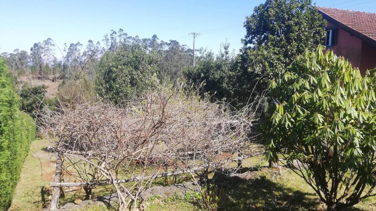 Chalet Pico Das Pedras Santana  Exteriör bild
