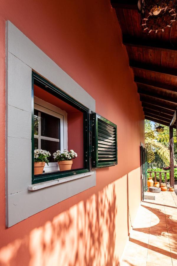 Chalet Pico Das Pedras Santana  Exteriör bild