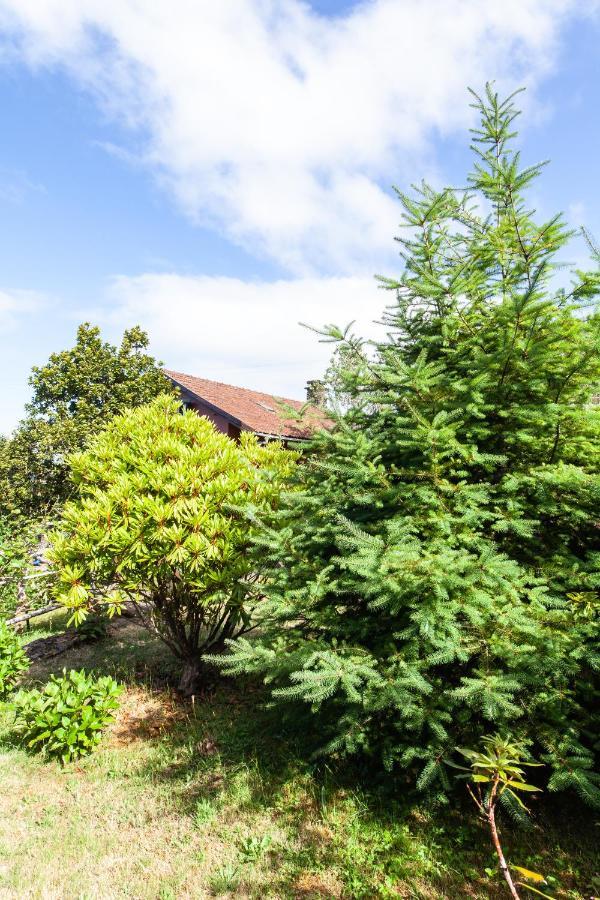 Chalet Pico Das Pedras Santana  Exteriör bild