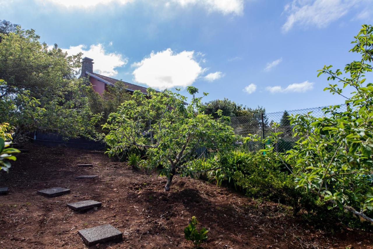 Chalet Pico Das Pedras Santana  Exteriör bild